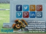 Death and Social Media 2016