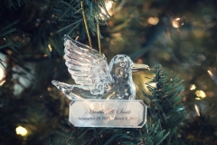 Frazer_Dove-1