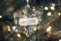 Frazer_Snowflake